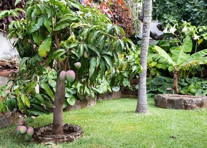 ヴィラ Casa Marianne *